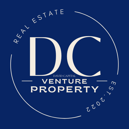 David Capital Venture Property